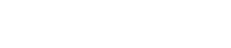 10turtle Logo